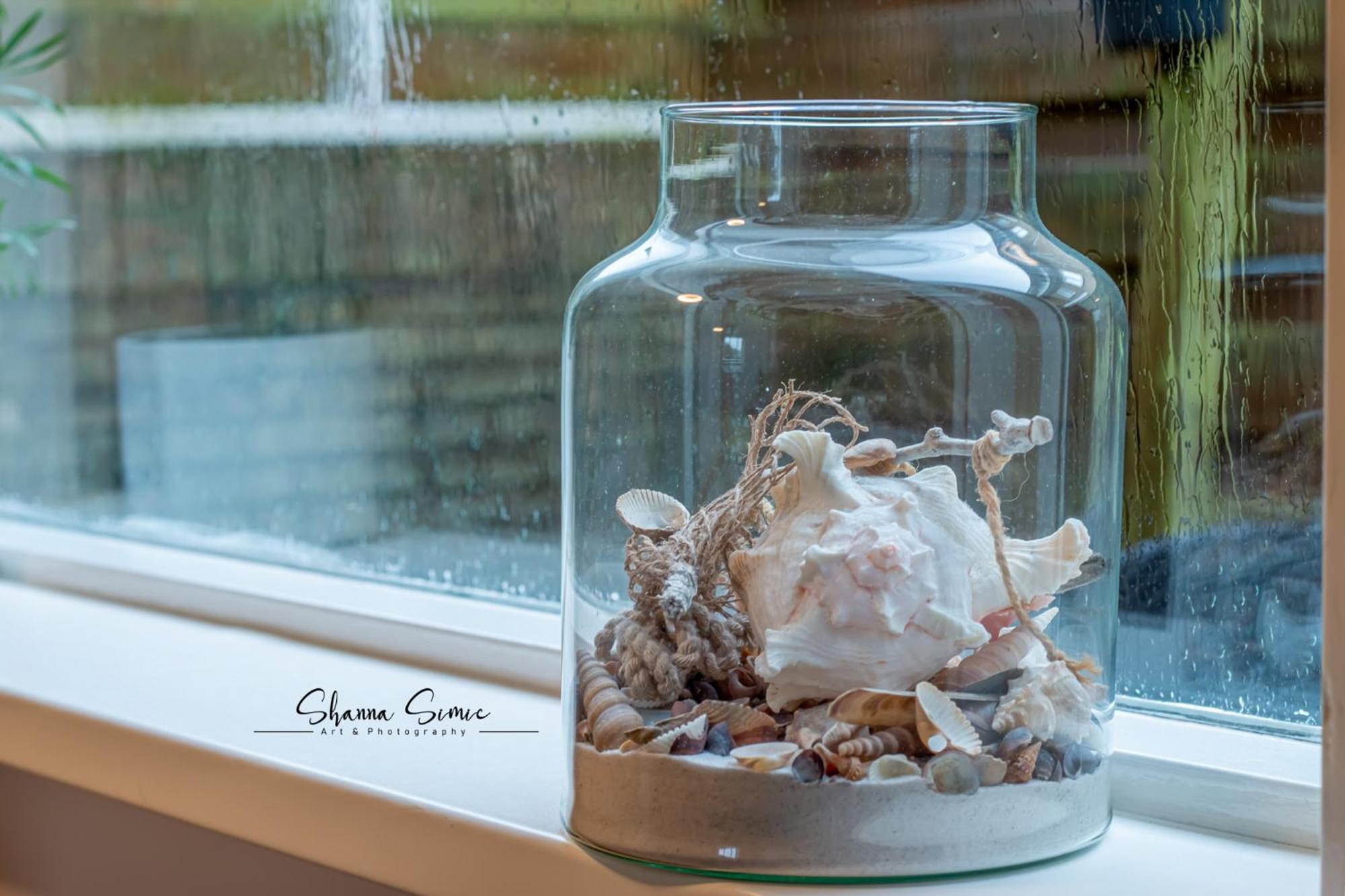 Carpe Diem Egmond Aan Zee By Urban Home Stay エクステリア 写真